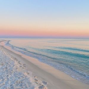 Meet your Posher, Stella